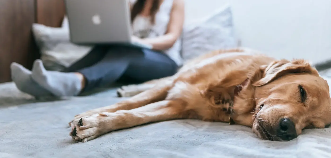 Banner image for Complimentary superannuation and insurance review